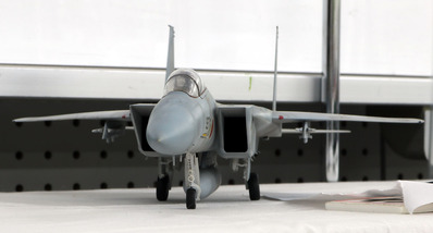 F-15¥¤¡¼¥°¥ë