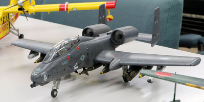 Ê£ºÂ·¿A-10