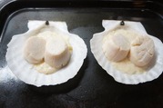 ホタテを2個置きホワイトソースをかける