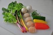 ほたてのお野菜たっぷりカルパッチョ-材料