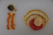 食べられないうろなどをわける