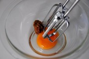 卵黄に赤味噌を加えしっかりあわ立てる
