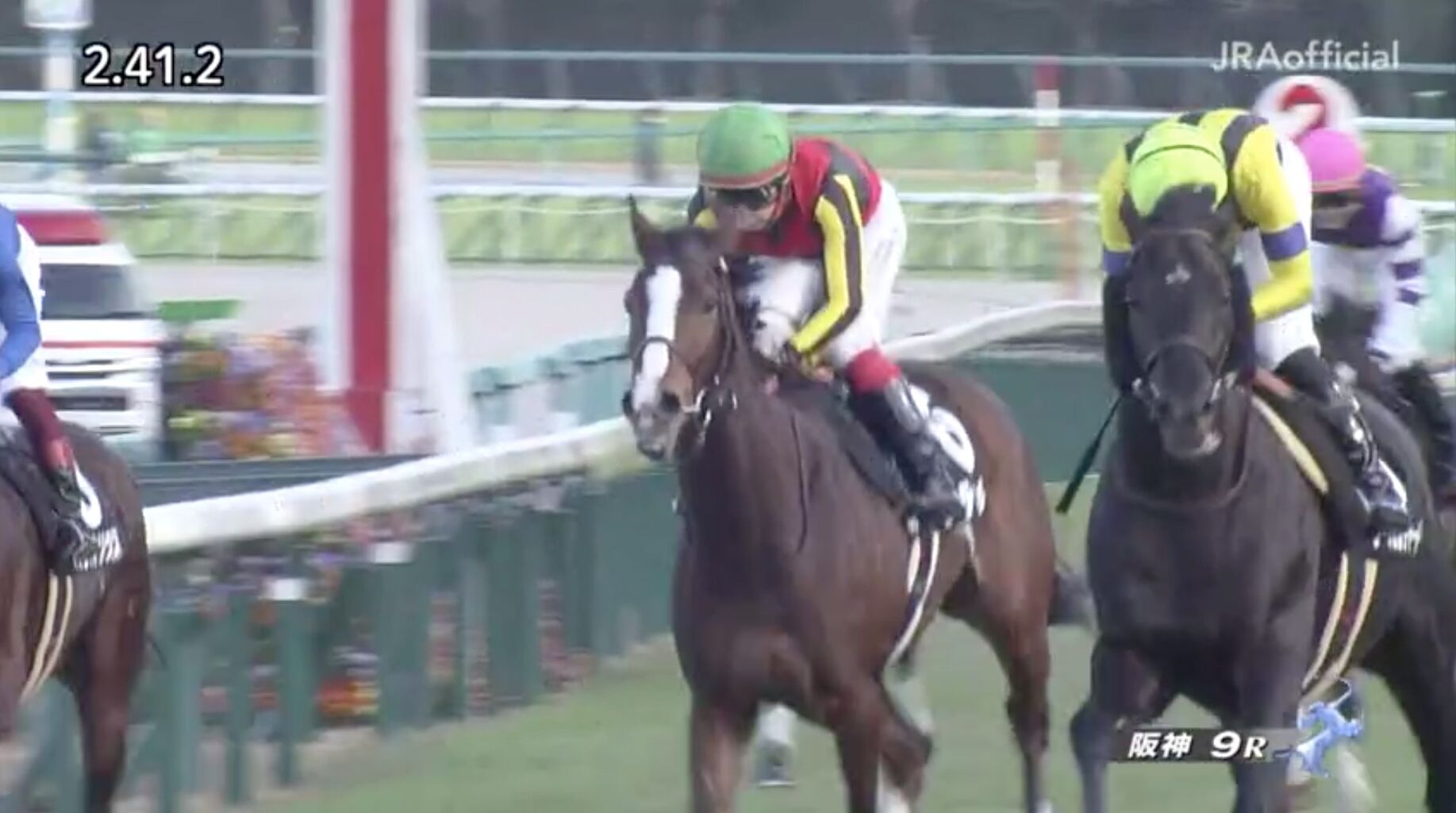 馬 まるうま 馬 まるうま