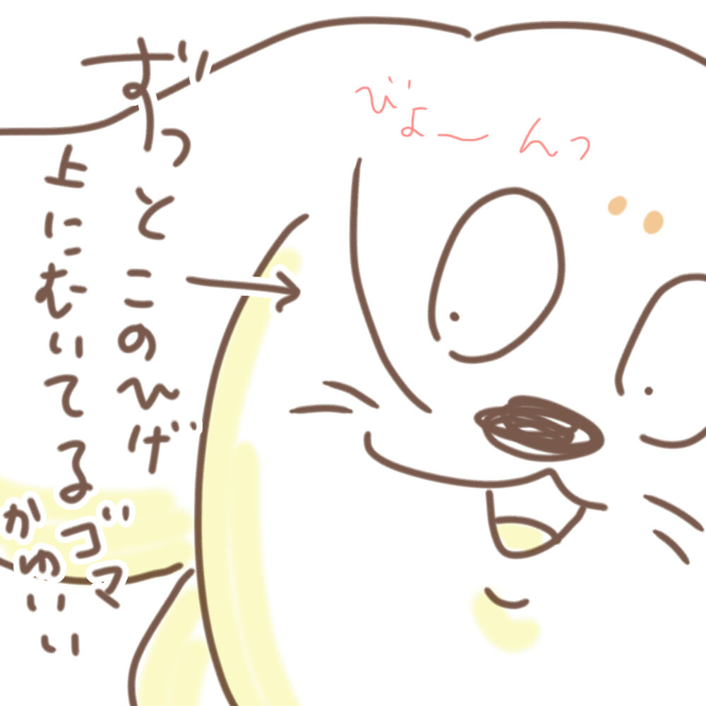 イラスト 劇場 ゆるゆる毛むじゃらhappy Life