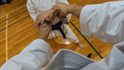 スチル 2025-11-12 135403_1.2.5