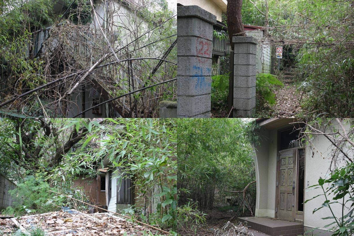 神奈川 湘南田浦ニュータウン サイクリング ツーリング ドライブ