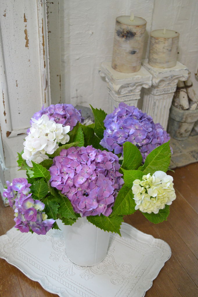 色とりどりの紫陽花 神戸のマリー アトリエ ドｳ フォレ シェ ダンテル