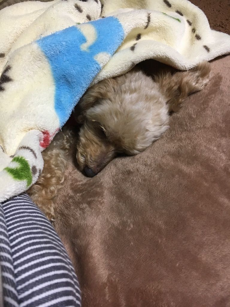 イメージ 6