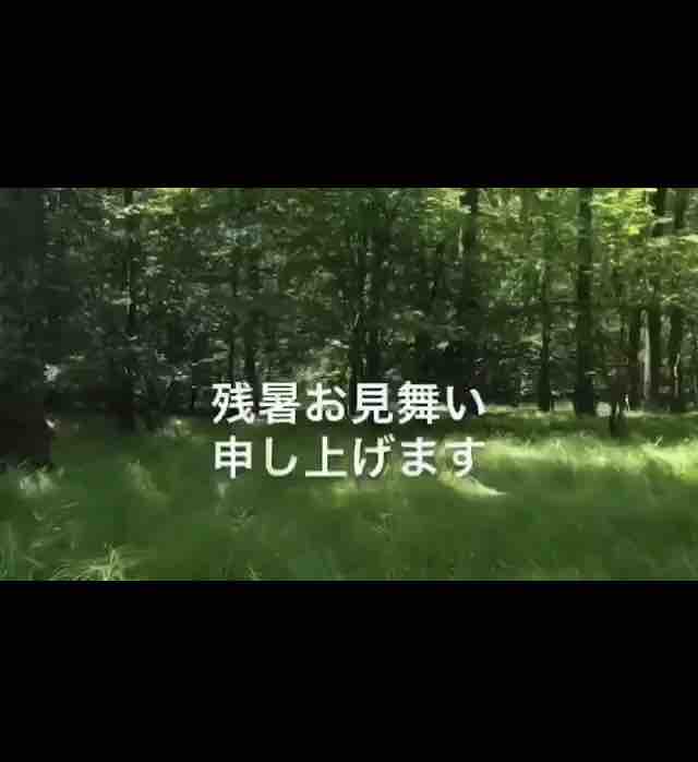 心和む動画を フェリーチェの おはなし 心和む動画を フェリーチェの おはなし