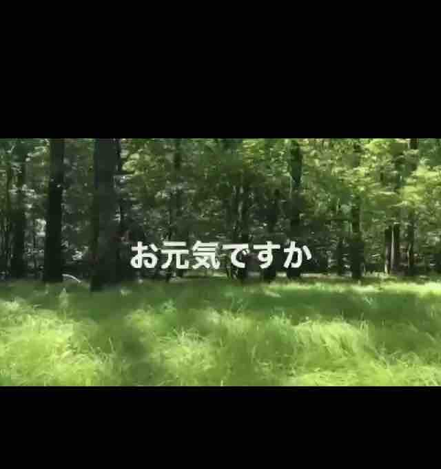 心和む動画を フェリーチェの おはなし 心和む動画を フェリーチェの おはなし