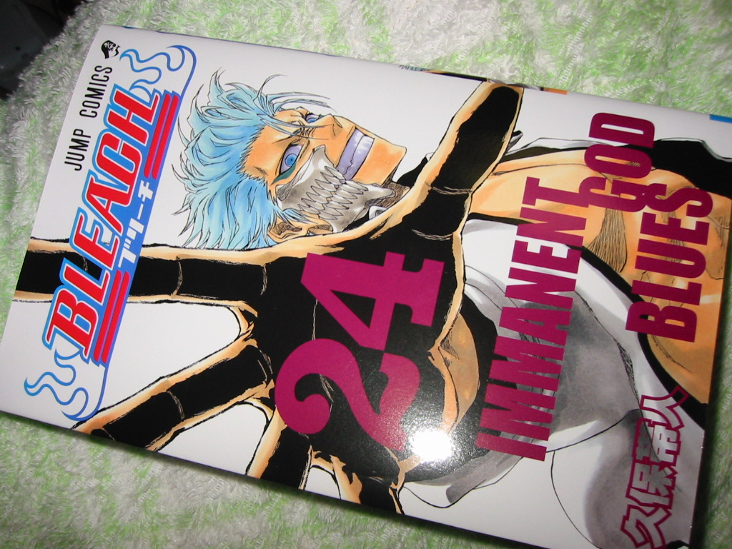 Bleach 24巻の誤植 Aikoとガンプラ ときどきイラスト