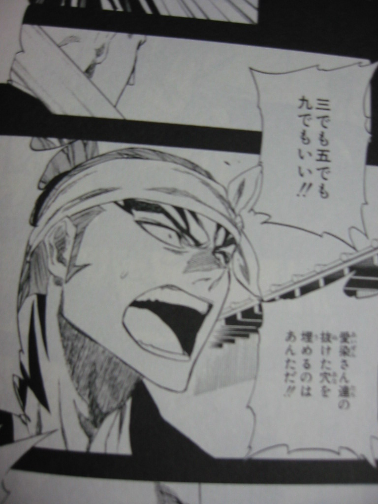 Bleach 24巻の誤植 Aikoとガンプラ ときどきイラスト