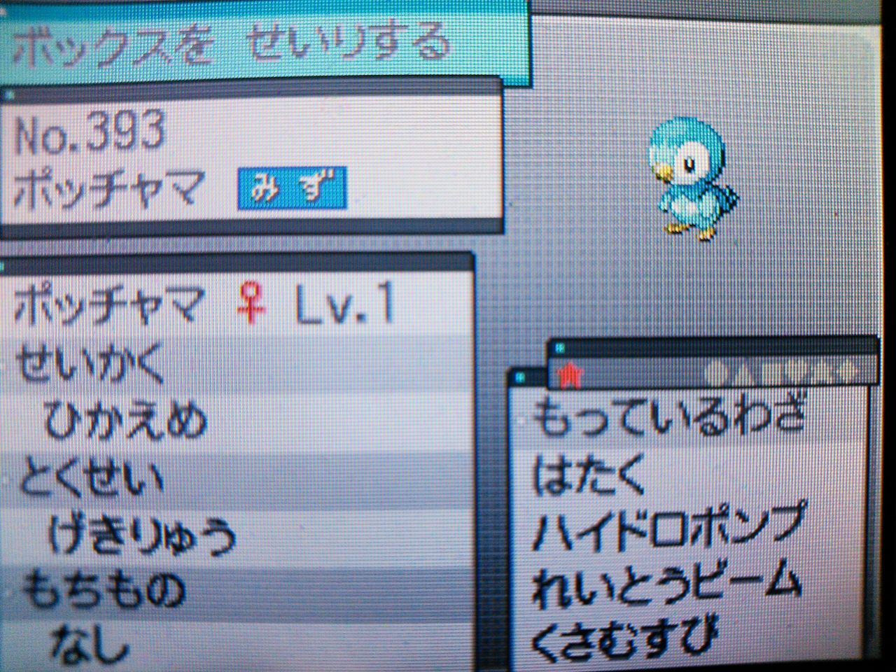 第4回ポケモンプレゼント企画 Masとポケモン