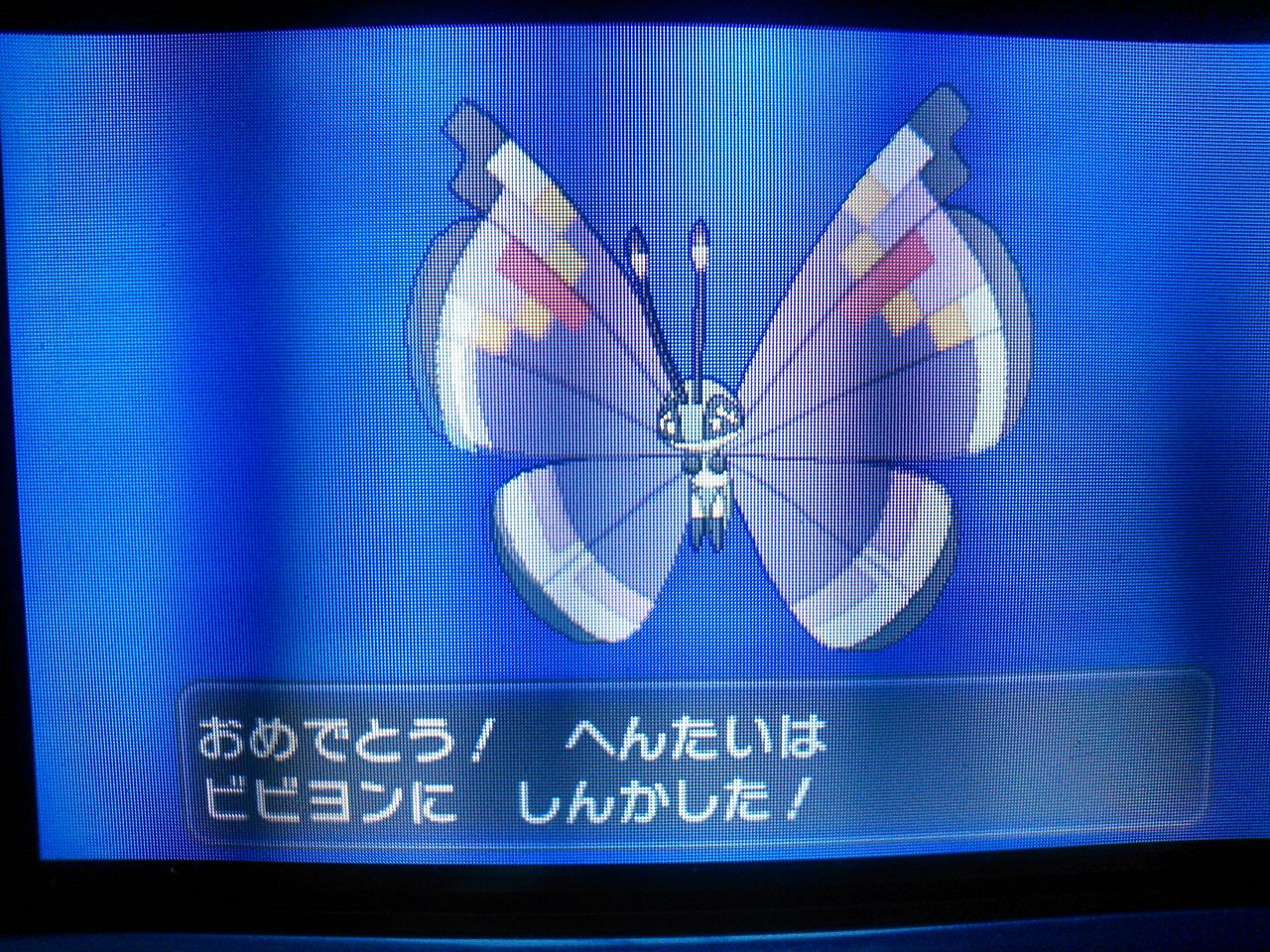 Masとポケモン ポケモンxy Masとポケモン ポケモンxy
