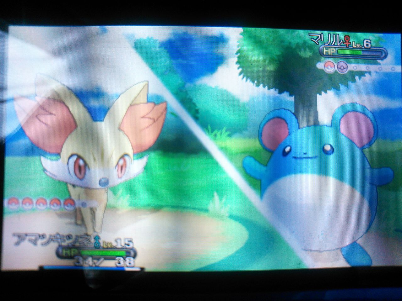 Masとポケモン ポケモンxy Masとポケモン ポケモンxy
