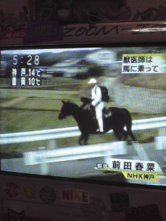 馬は軽車両扱い ひねもすのたり３