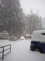 雪