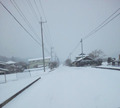雪