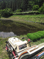田植え02