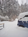 雪