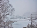雪