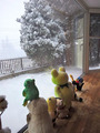 雪