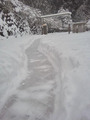 雪