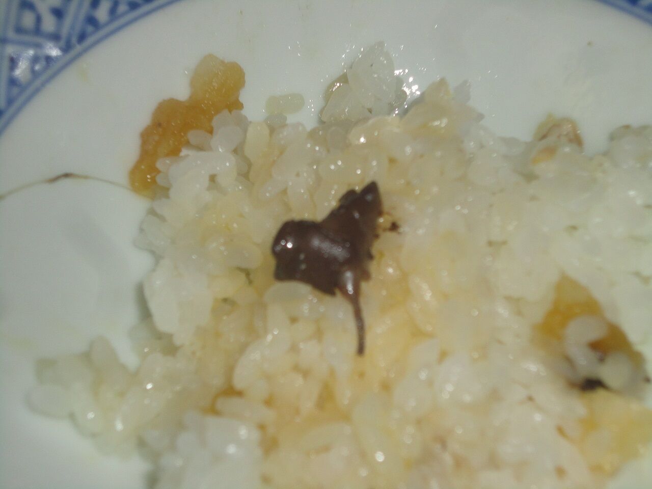 待ち侘びたぜ初サンマ うまい これだ これが食いたかった マサ料理 耽溺 マサ青木の美食とクルマ