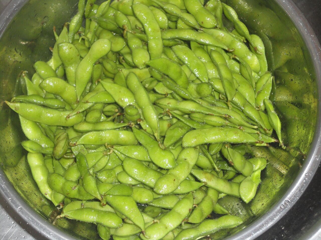 枝豆1kgとビール1リットルとトウモロコシ3本だけの食事 これが夏の風物詩だ マサ料理 耽溺 マサ青木の美食とクルマ 枝豆1kgとビール1リットルとトウモロコシ3本だけの食事 これが夏の風物詩だ マサ料理 耽溺 マサ青木の美食とクルマ