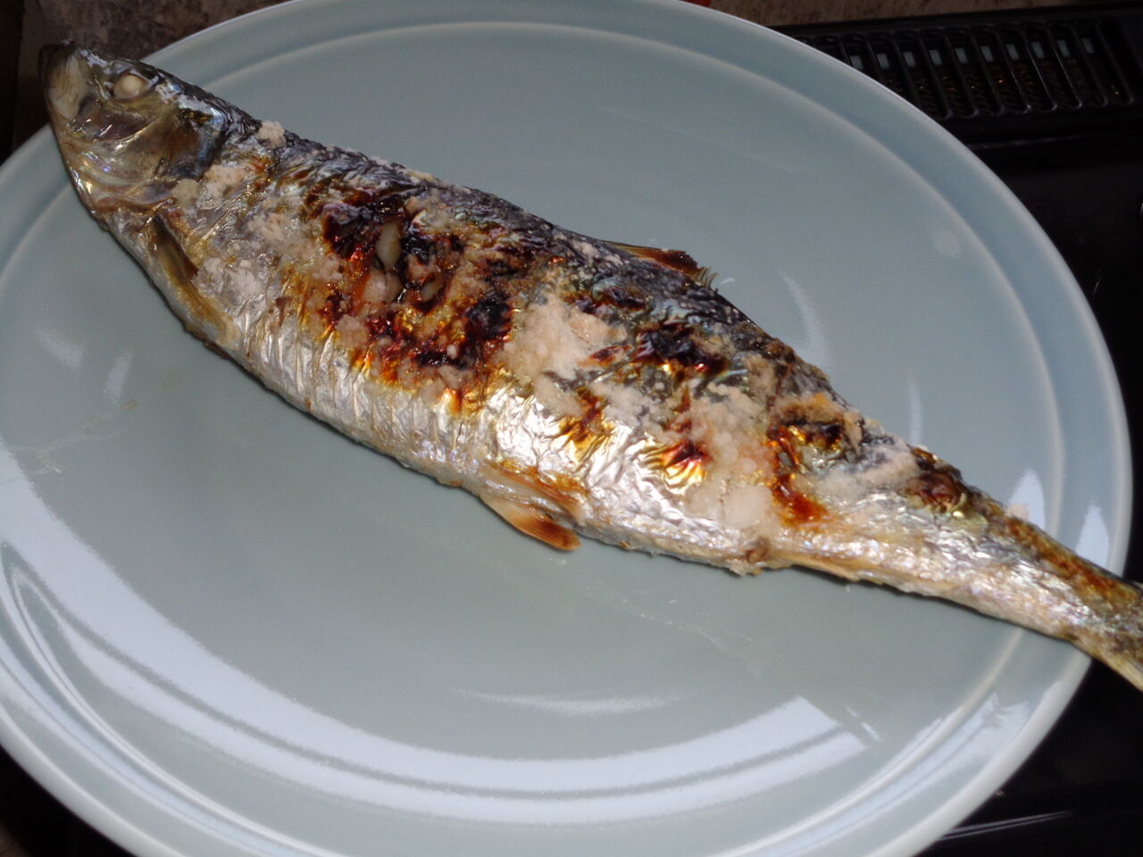 春告魚ニシン塩焼き うまい 安い ｔｈｅ数の子 身は軽やか マサ料理 耽溺 マサ青木の美食とクルマ