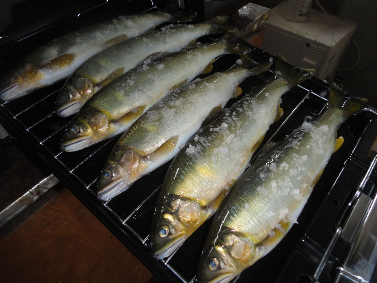 鮎三昧 塩焼き6尾 煮付け3尾 アユこく1尾 計10尾 堪能 マサ料理 耽溺 マサ青木の美食とクルマ 鮎三昧 塩焼き6尾 煮付け3尾 アユこく1尾 計10尾 堪能 マサ料理 耽溺 マサ青木の美食とクルマ