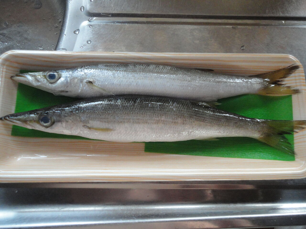 カマス塩焼き ふんわりうまい あまりの美味しさに感激 マサ料理 耽溺 マサ青木の美食とクルマ カマス塩焼き ふんわりうまい あまりの美味しさに感激 マサ料理 耽溺 マサ青木の美食とクルマ