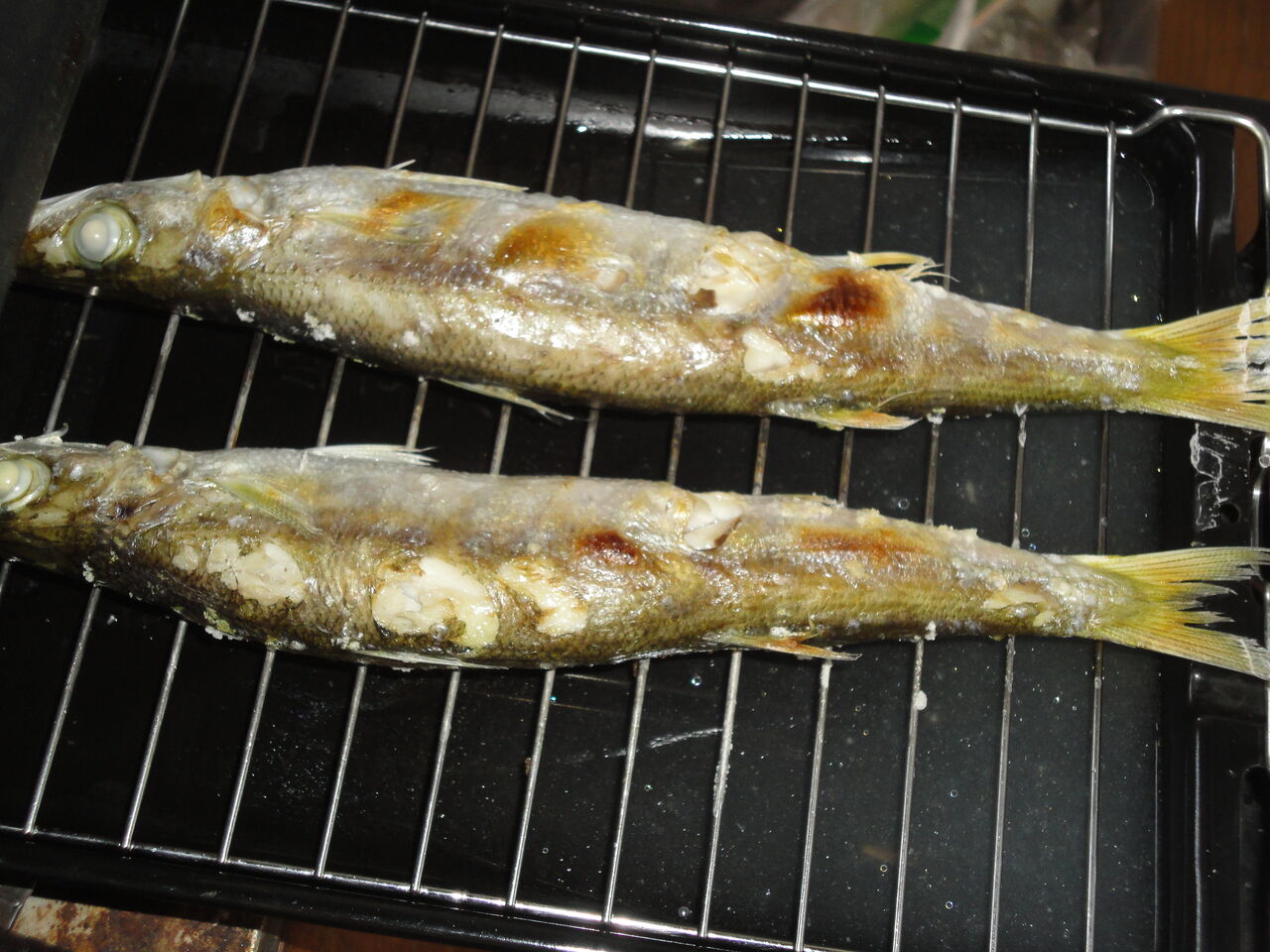 カマス塩焼き ふんわりうまい あまりの美味しさに感激 マサ料理 耽溺 マサ青木の美食とクルマ