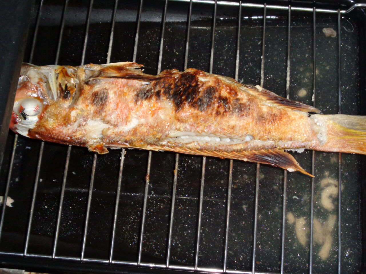 甘鯛の塩焼き うまい ふんわり軽やか甘い身 マサ料理 耽溺 マサ青木の美食とクルマ 甘鯛の塩焼き うまい ふんわり軽やか甘い身 マサ料理 耽溺 マサ青木の美食とクルマ