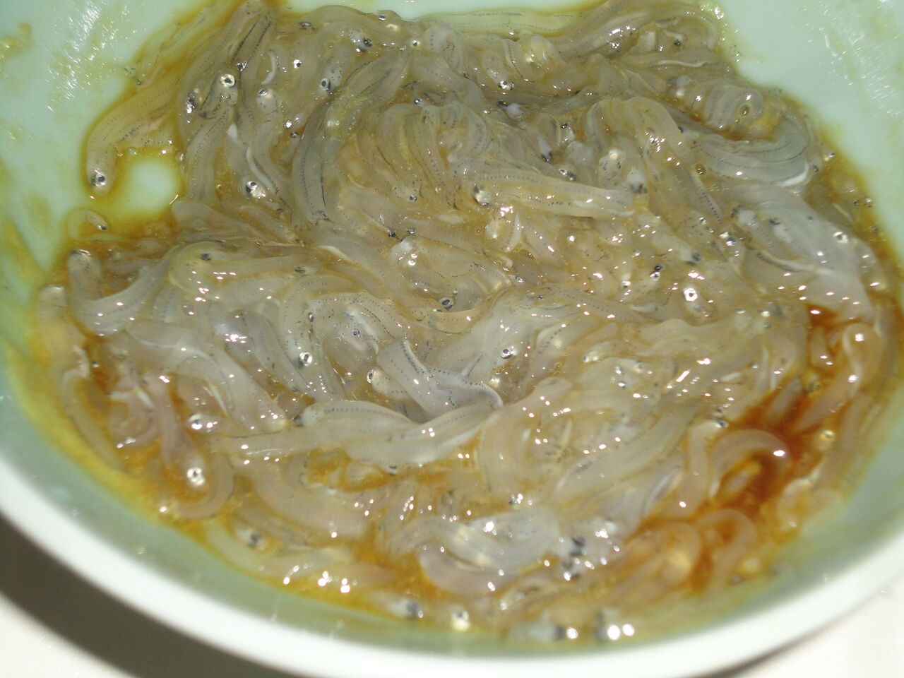 生しらす うまい サイコ 納豆のような食べ心地 マサ料理 耽溺 マサ青木の美食とクルマ 生しらす うまい サイコ 納豆のような食べ心地 マサ料理 耽溺 マサ青木の美食とクルマ