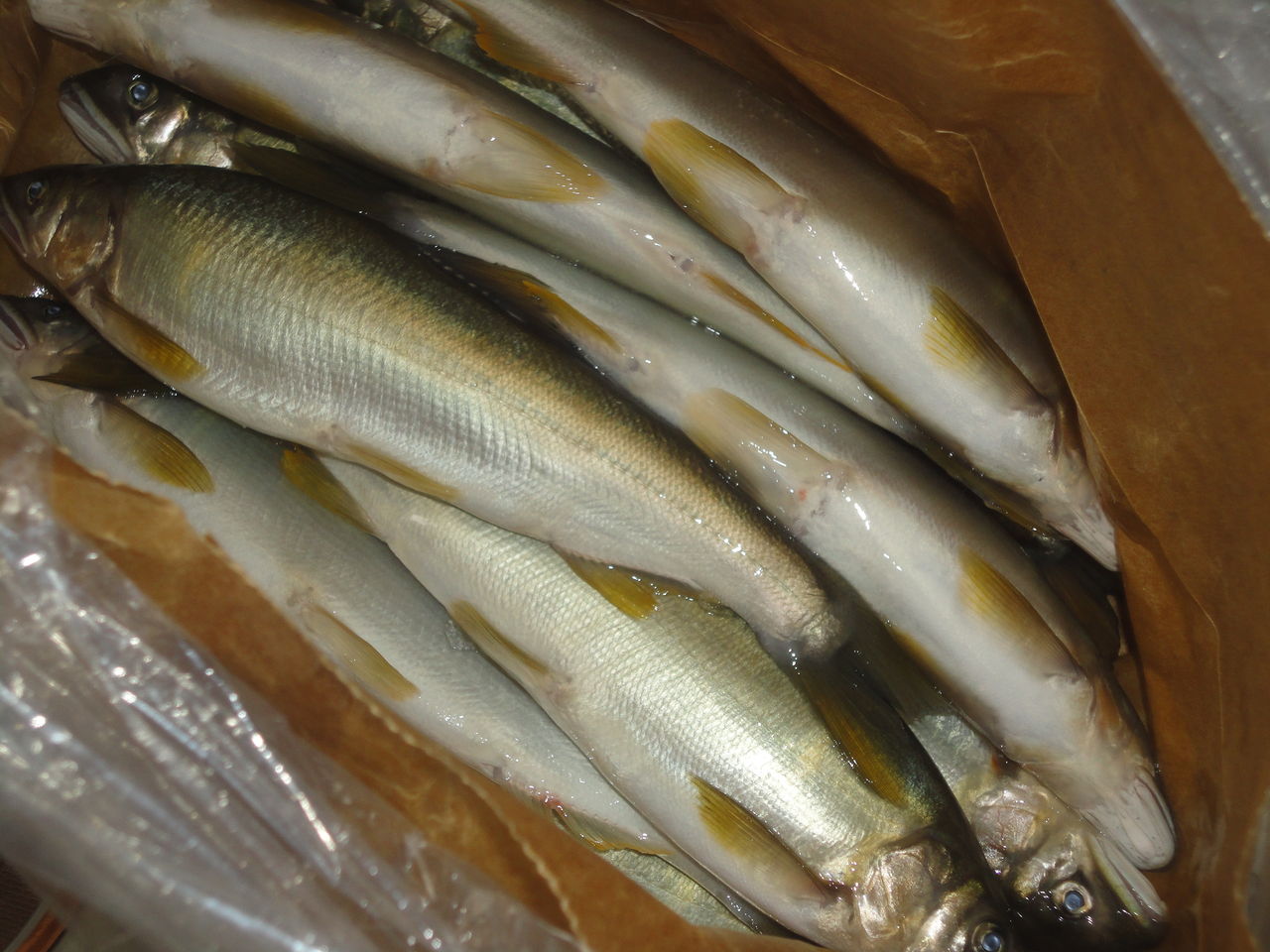 でっかい鮎塩焼き１０尾に悦ぶ マサ料理 耽溺 マサ青木の美食とクルマ