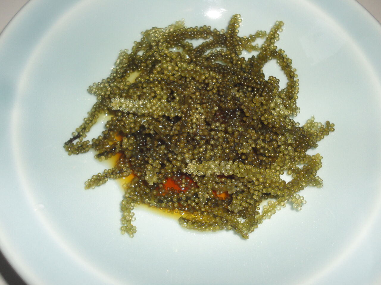 海ぶどう うまい ステキなプチプチ歯触り 耽溺 マサ青木の美食とクルマ