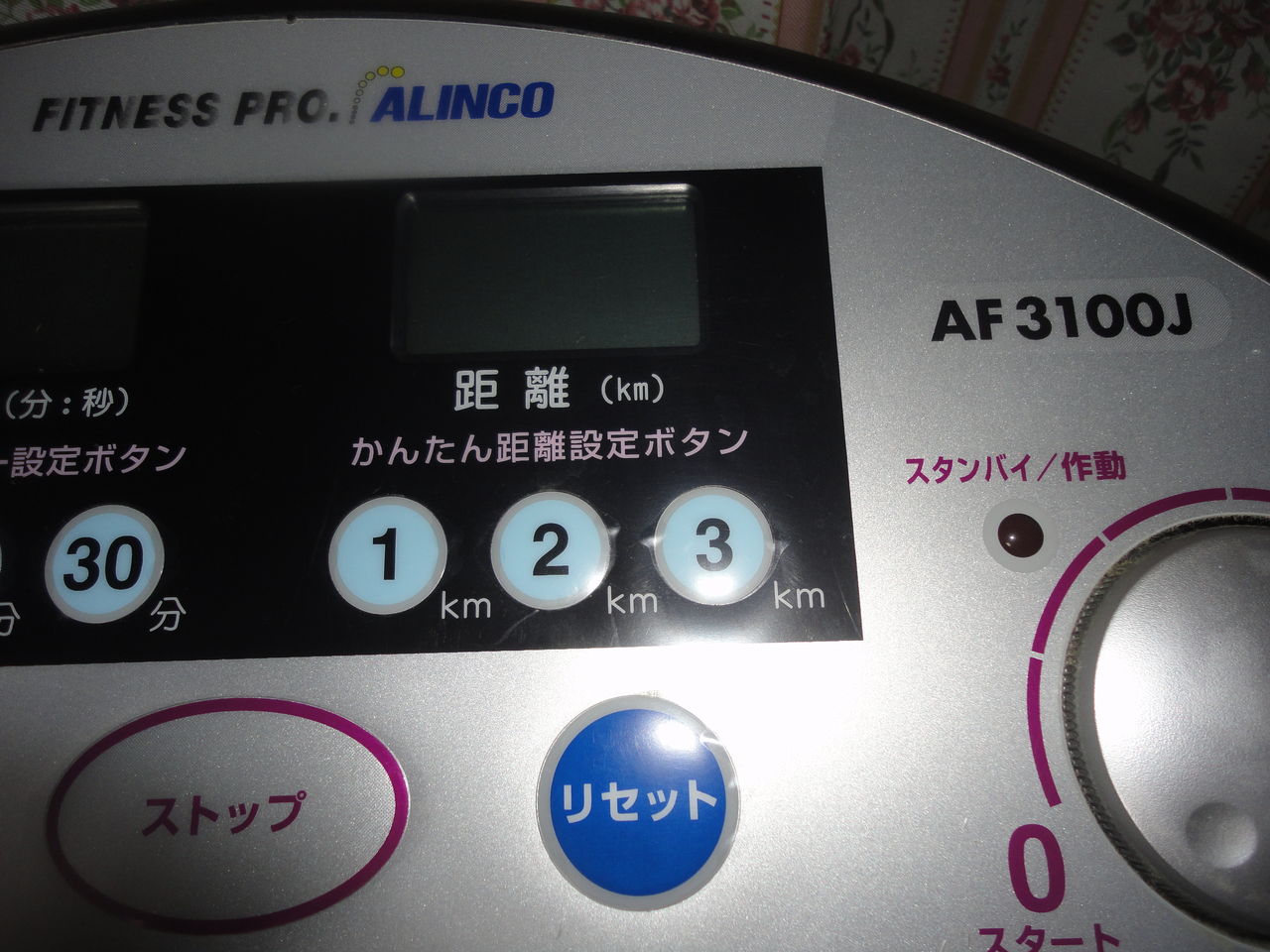 復活、室内ウォーキング！アルインコ電動ウォーカー！ : 耽溺、マサ 