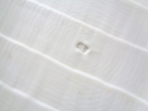DSC03581