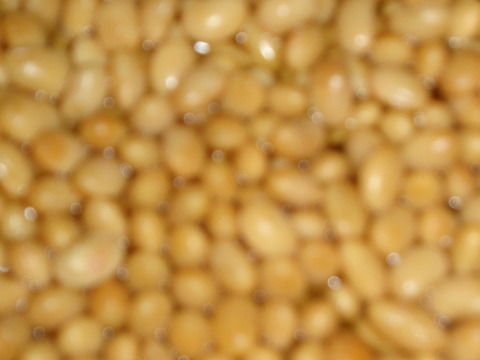 DSC03987