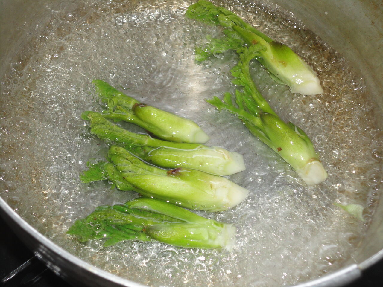 タラの芽ホタルイカ釜飯 うまい ステキなw主役 マサ料理 耽溺 マサ青木の美食とクルマ タラの芽ホタルイカ釜飯 うまい ステキなw主役 マサ料理 耽溺 マサ青木の美食とクルマ