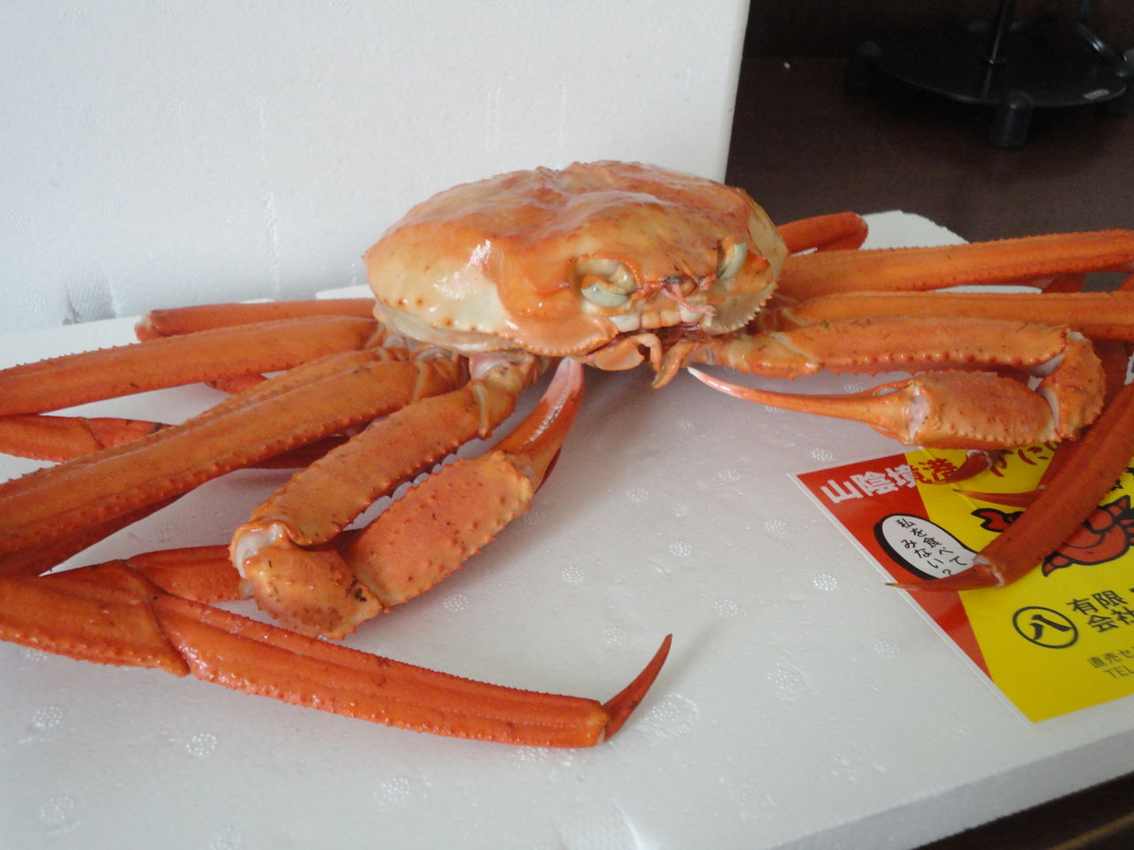 紅ズワイガニ うまいぜ 丸八水産 境港 耽溺 マサ青木の美食とクルマ