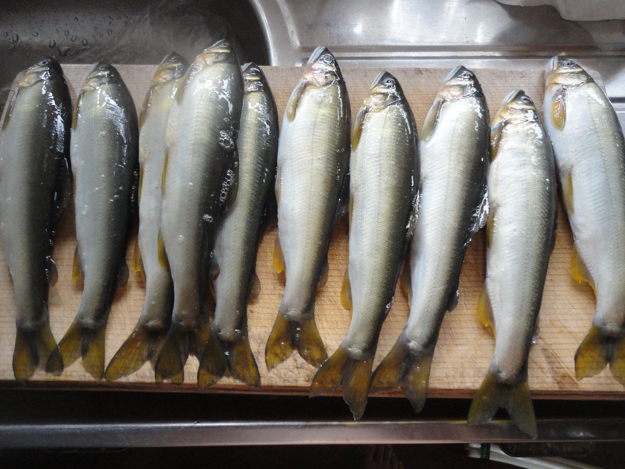 鮎三昧 塩焼き6尾 煮付け3尾 アユこく1尾 計10尾 堪能 マサ料理 耽溺 マサ青木の美食とクルマ 鮎三昧 塩焼き6尾 煮付け3尾 アユこく1尾 計10尾 堪能 マサ料理 耽溺 マサ青木の美食とクルマ