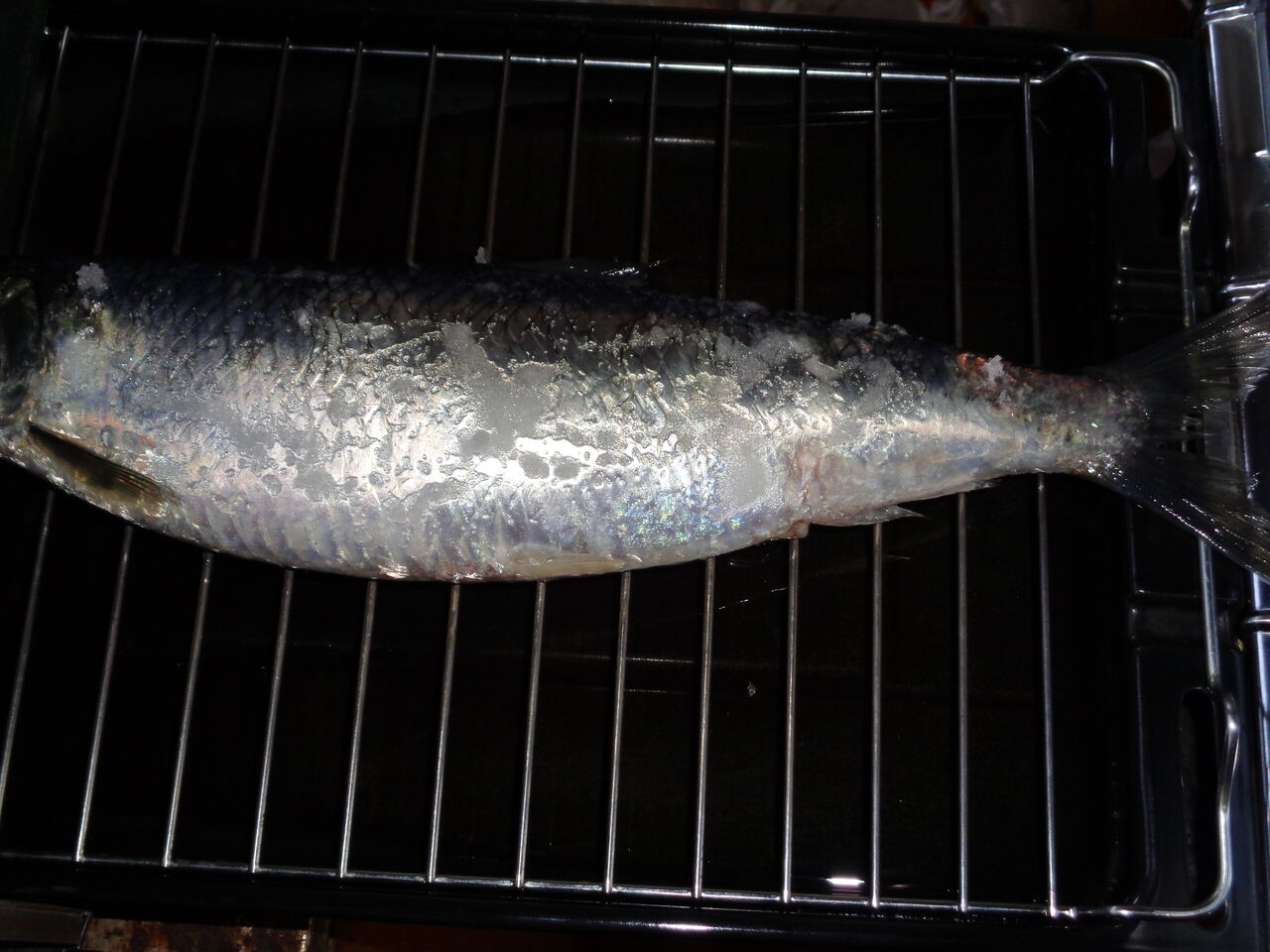 春告魚ニシン塩焼き うまい 安い ｔｈｅ数の子 身は軽やか マサ料理 耽溺 マサ青木の美食とクルマ