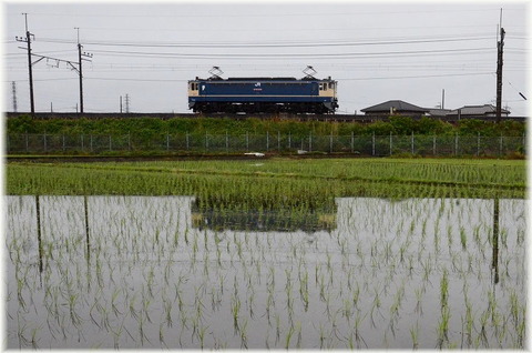 ld 20 5 23 m koshigaya k2 ef65 2091 t 2072 a1001