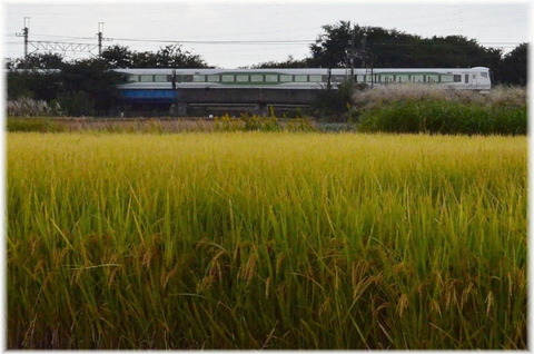 ld 21 10 9 b1 h urawa e257 5500 hk kamakura a1002