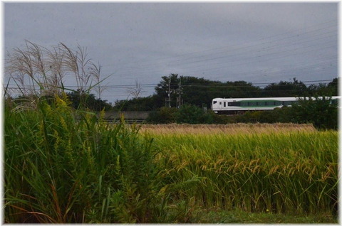 ld 21 10 10 b1 h urawa e257 5500 hk kamakura a1001