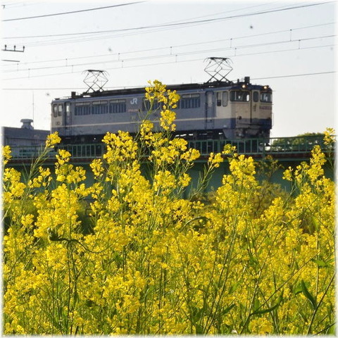 ld 21 4 11 b5 h kawaguchi ef65 2067 t 8877 a1001