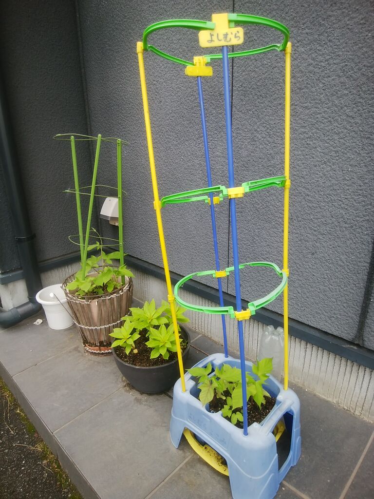 富山県高岡市 まさる接骨院 オフィシャルブログ 霊雨 富山県高岡市 まさる接骨院 オフィシャルブログ 霊雨