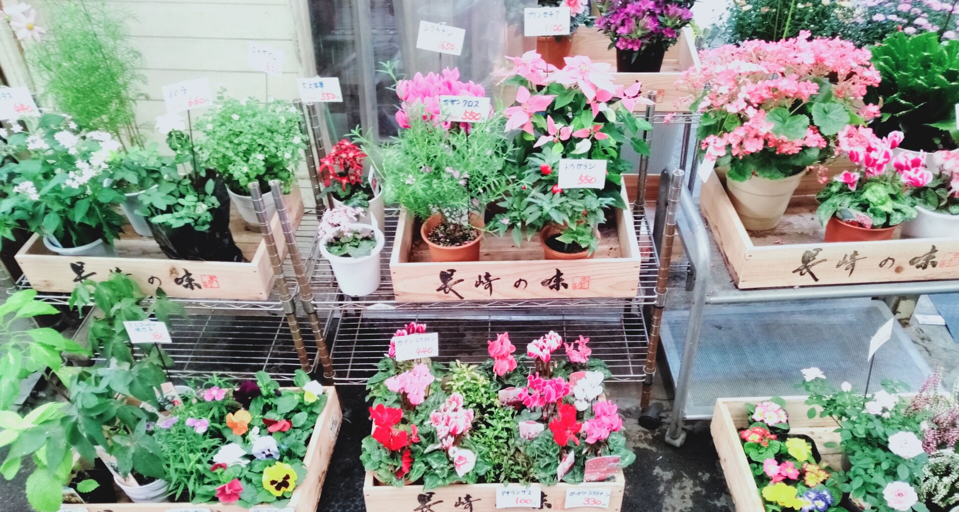 花 の売り場が変わりました 東大阪市金岡商店街 花 の売り場が変わりました 東大阪市金岡商店街